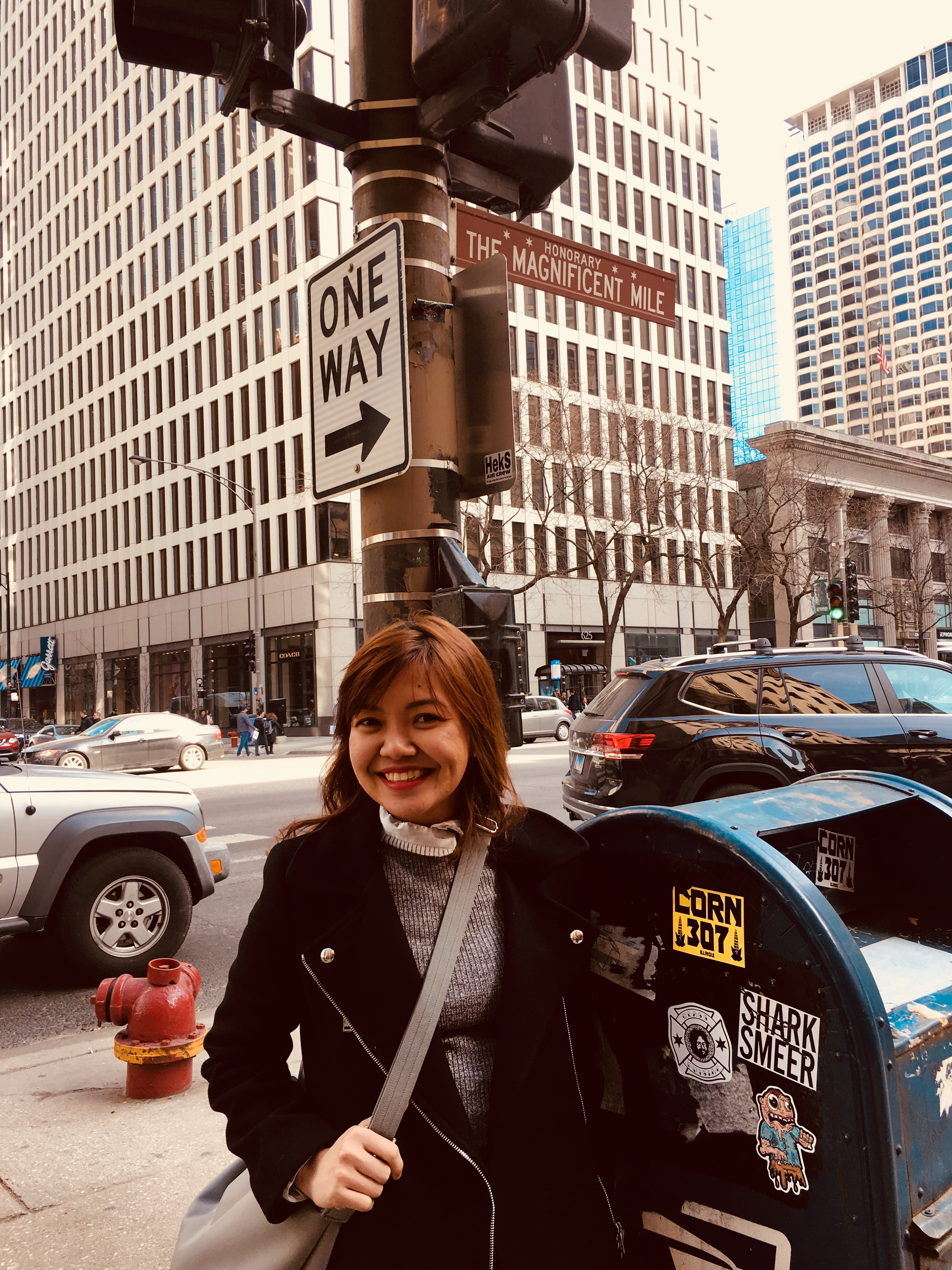 magnificent mile.jpg